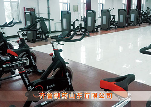 ​锐强体育为齐鲁制药呼和浩特分华体会体育-华体会| 华体会官方网站打造健身房
